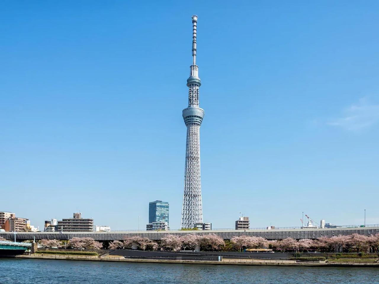 胶囊旅馆 新桥汐留安心御宿胶囊旅馆 *